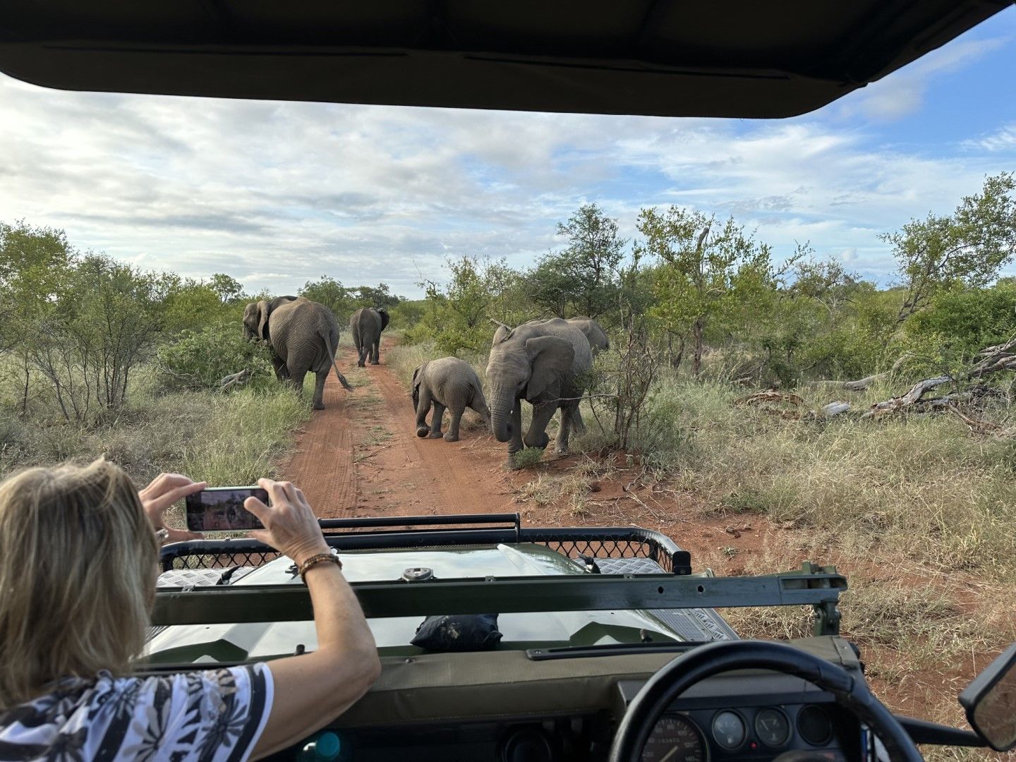 Reisende im Jeep auf einer Safari